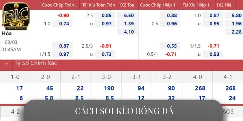 Hướng dẫn cách soi kèo chuẩn dành cho anh em tân thủ mới đến với cá cược bóng đá