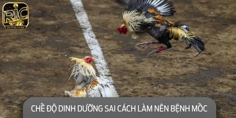 Chế độ dinh dưỡng sai cách làm nên bệnh mốc