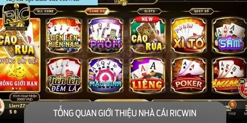 Đôi nét sơ lược giới thiệu về cổng game