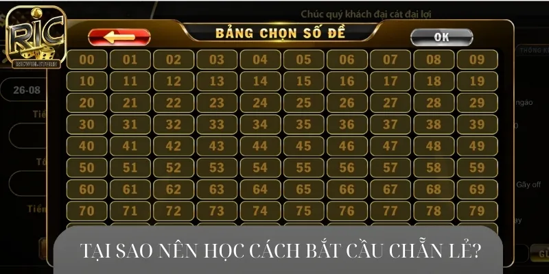 Có nhiều lý do để bạn áp dụng cách bắt cầu chẵn lẻ khi cá cược